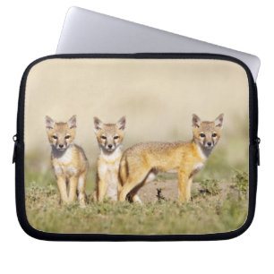 Swift Fox (Vulpes macrotis) young at den burrow, 3 Laptop Sleeve