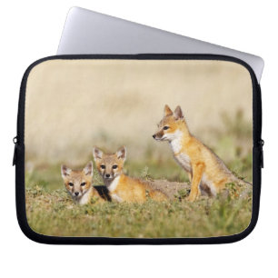 Swift Fox (Vulpes macrotis) young at den burrow, 5 Laptop Sleeve