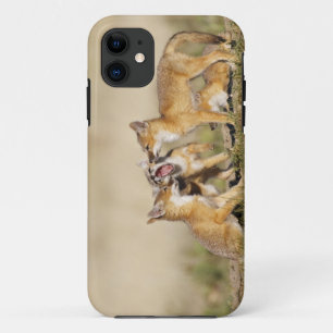 Swift Fox (Vulpes macrotis) young at den burrow, iPhone 11 Case