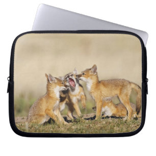 Swift Fox (Vulpes macrotis) young at den burrow, Laptop Sleeve
