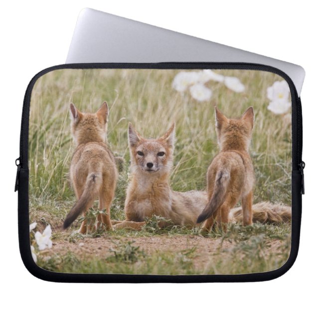 Swift Fox (Vulpes velox) female with young at Laptop Sleeve (Front)