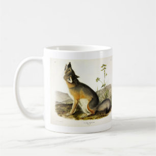 Swift Fox (Vulpes Velox) from Audubon's Quadrupeds Coffee Mug