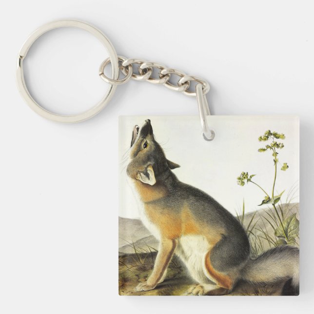 Swift Fox (Vulpes Velox) from Audubon's Quadrupeds Key Ring (Front)
