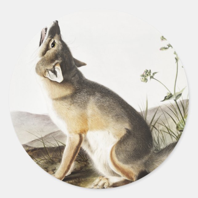 Swift Fox (Vulpes velox) Illustration Classic Round Sticker (Front)