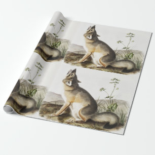 Swift Fox (Vulpes velox) Illustration Wrapping Paper