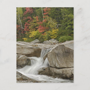 Swift River cascading through rocks, White Postcard