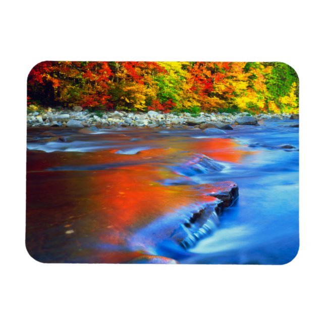 Swift River reflecting autumn colors Magnet (Horizontal)