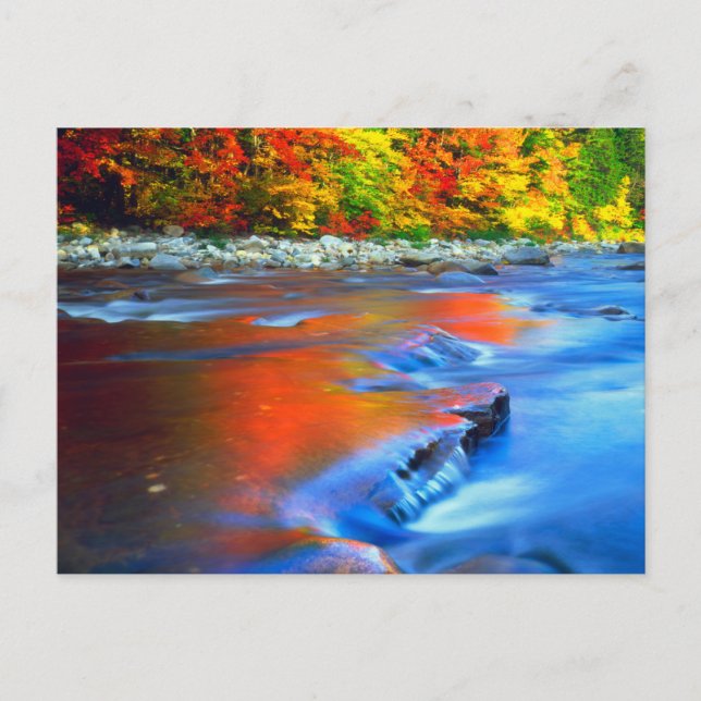 Swift River reflecting autumn colours Postcard (Front)