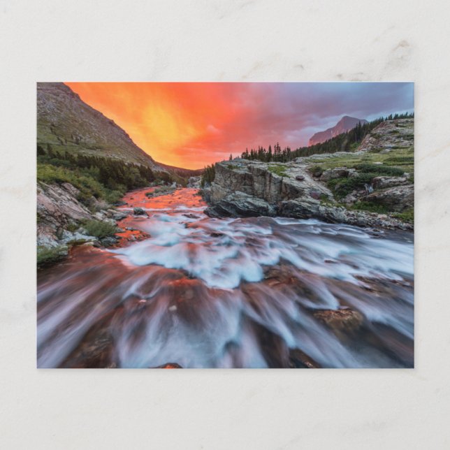 Swiftcurrent Falls | Glacier National Park Montana Postcard (Front)