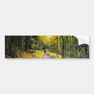 Swiftcurrent Pass Trail - Glacier National Park Bumper Sticker