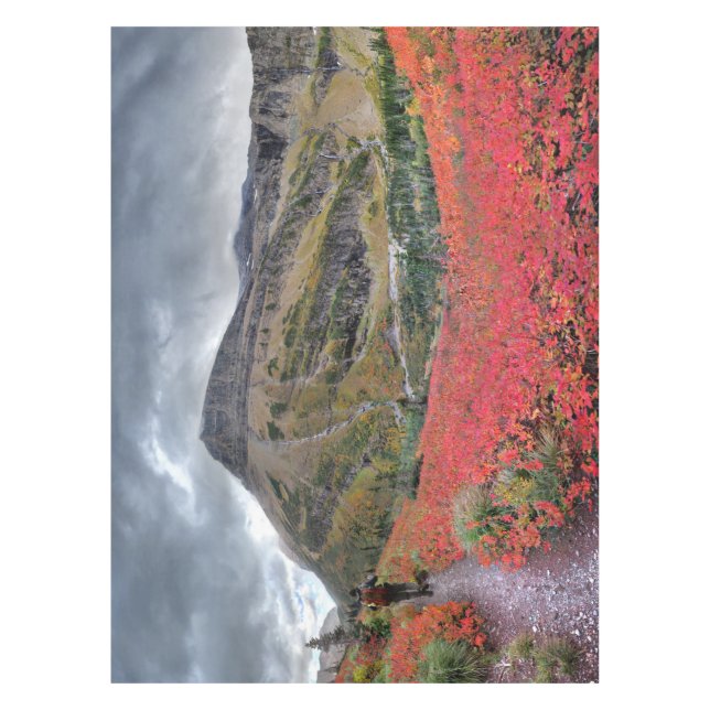 Swiftcurrent Pass Trail - Glacier National Park Tablecloth (Front)