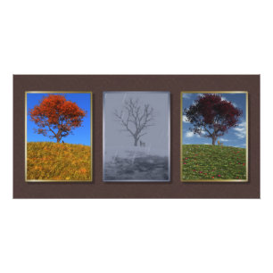 Swiftly Fly the Years Triptych Photo Print