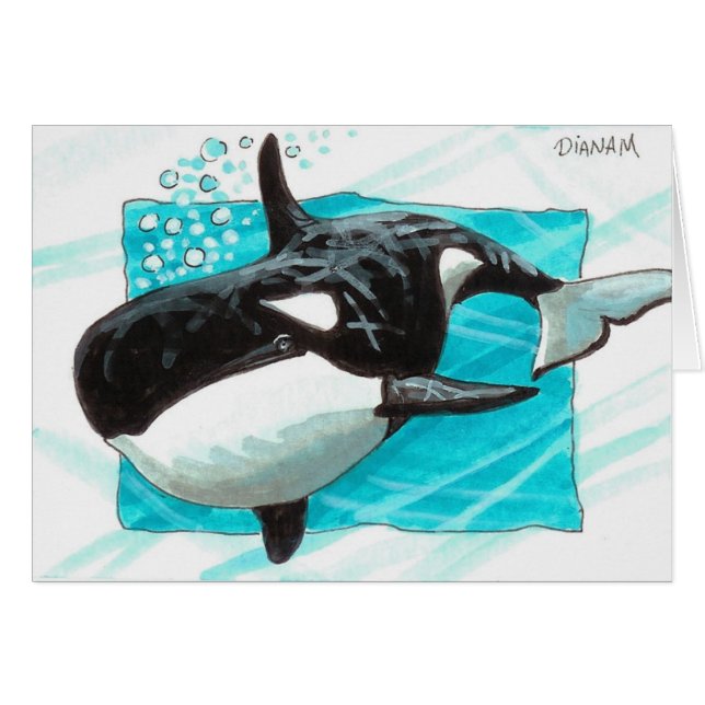 Swim Along (Front Horizontal)