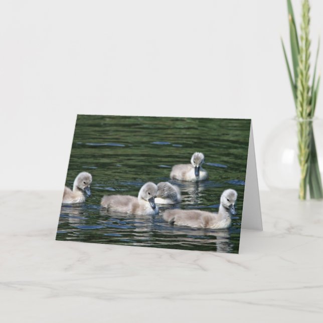 Swim Friends Card (Front)