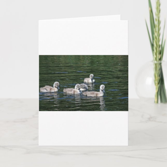 Swim Friends Card (Front)