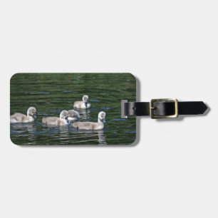 Swim Friends Luggage Tag