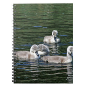 Swim Friends Notebook