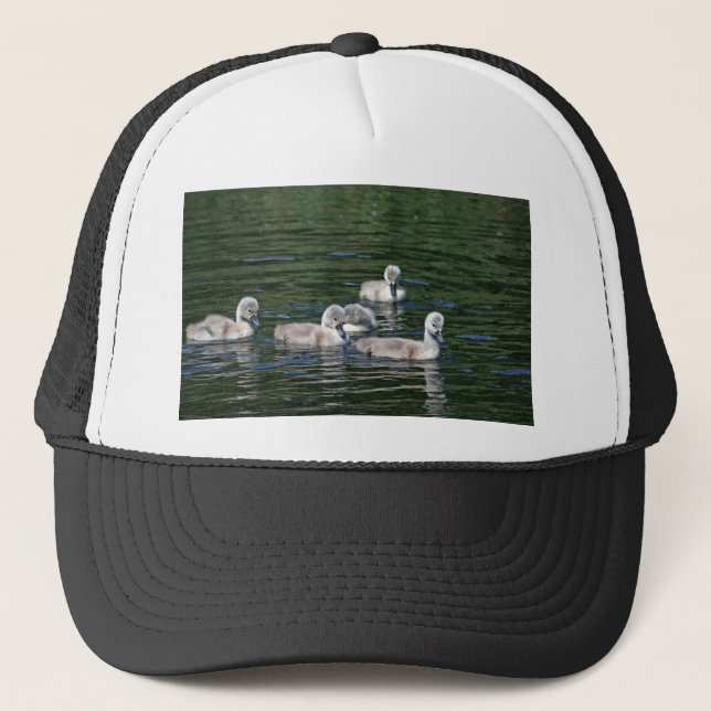 Swim Friends Trucker Hat (Front)