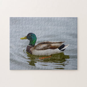 Swim Mallard Swim Jigsaw Puzzle