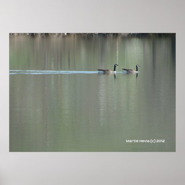 Swim of Love Poster (Front)