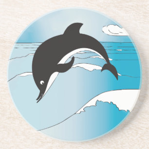 Swim With Dolphins Coaster
