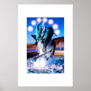 SWIM WITH DOLPHINS POSTER