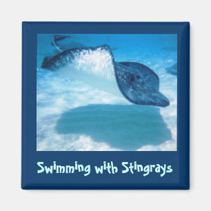 Swim with Rays SWRS1 Magnet