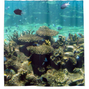 SWIM WITH THE FISHES SHOWER CURTAIN