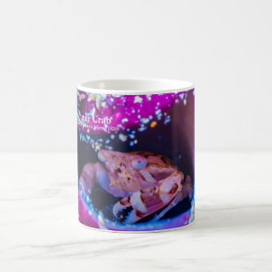 Swimmer Crab (Lissocarcinus laevis Miers, 1886 ) Coffee Mug