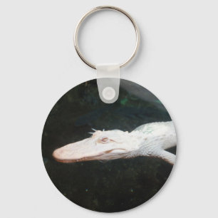 Swimming albino alligator colour photograph key ring