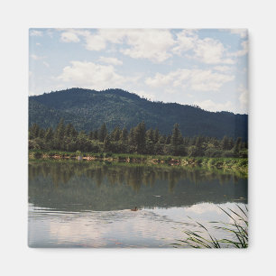 Swimming Alone..... Magnet