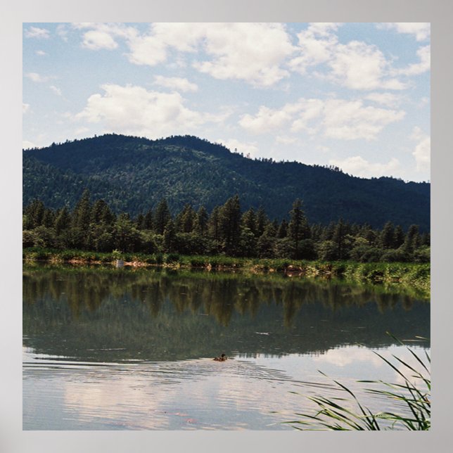 Swimming Alone..... Poster (Front)