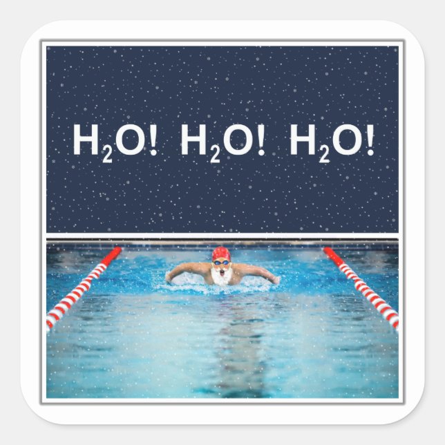 Swimming Christmas Holiday Labels (Front)
