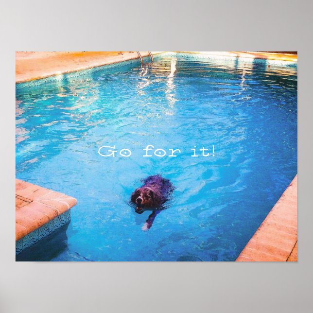 Swimming Dog Poster (Front)