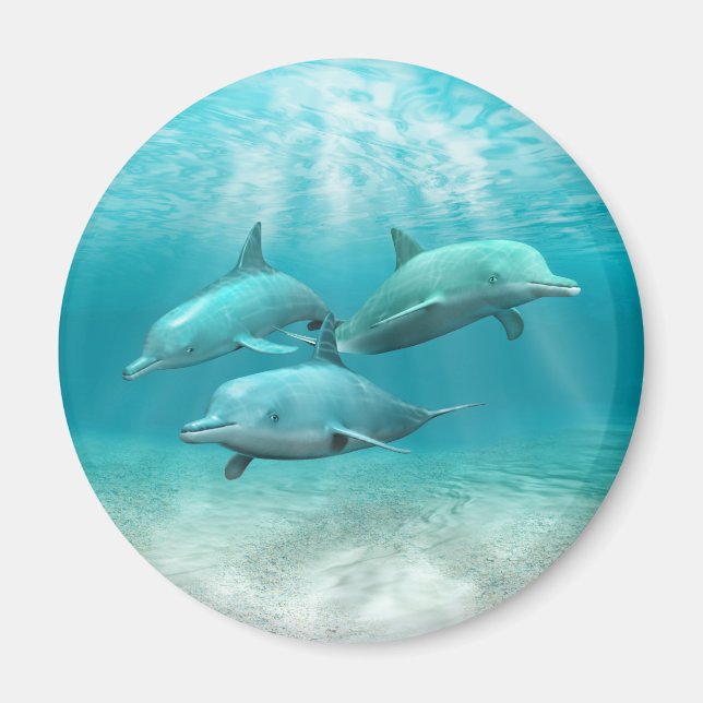 Swimming Dolphins Magnet (Front)