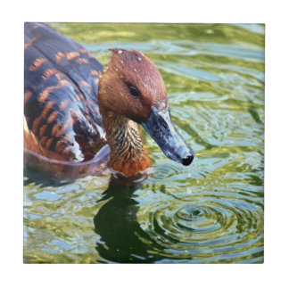 Swimming Duck Ceramic Tile