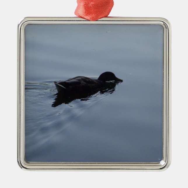 Swimming Duck in Lake, Nature Bird Wildlife Blue Metal Ornament (Front)