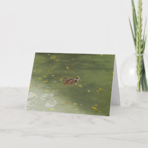 "Swimming Duck" Thank You Card