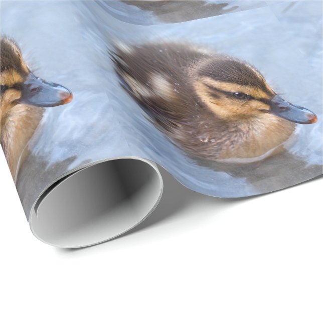 Swimming Duckling Wrapping Paper (Roll Corner)