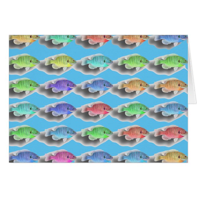 Swimming Fishies (Front Horizontal)