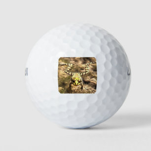 Swimming Frog Immersed In Clear River Water Painti Golf Balls