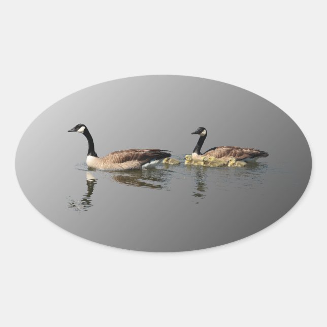 Swimming Geese Sticker (Front)