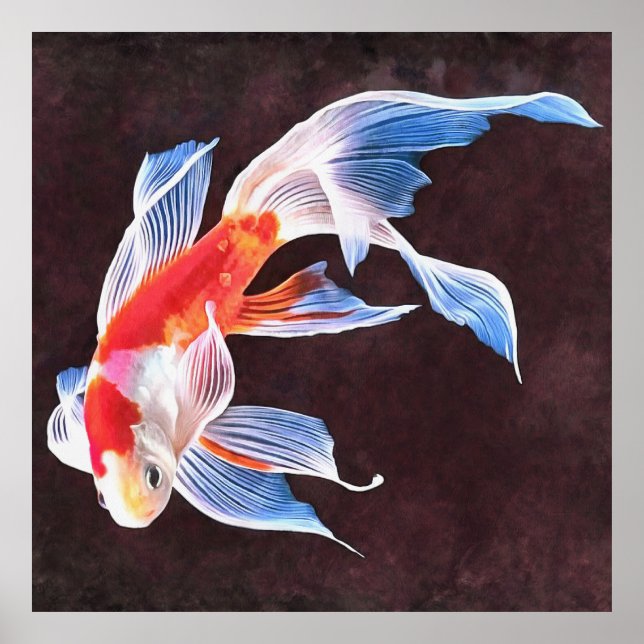 Swimming Goldfish Realistic Fine Art Poster (Front)