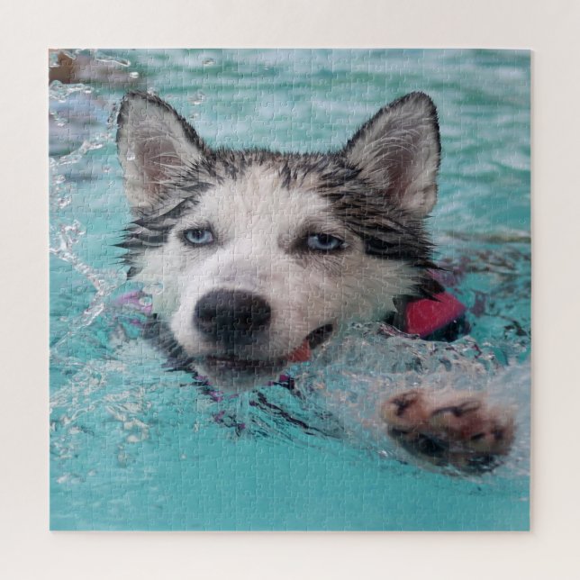 Swimming Husky Jigsaw Puzzle (Vertical)