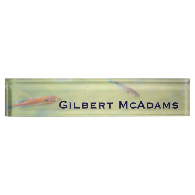 Swimming in the Sun Nameplate (Front)