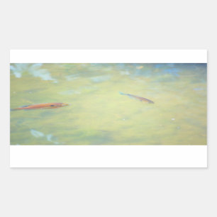 Swimming in the Sun Rectangular Sticker