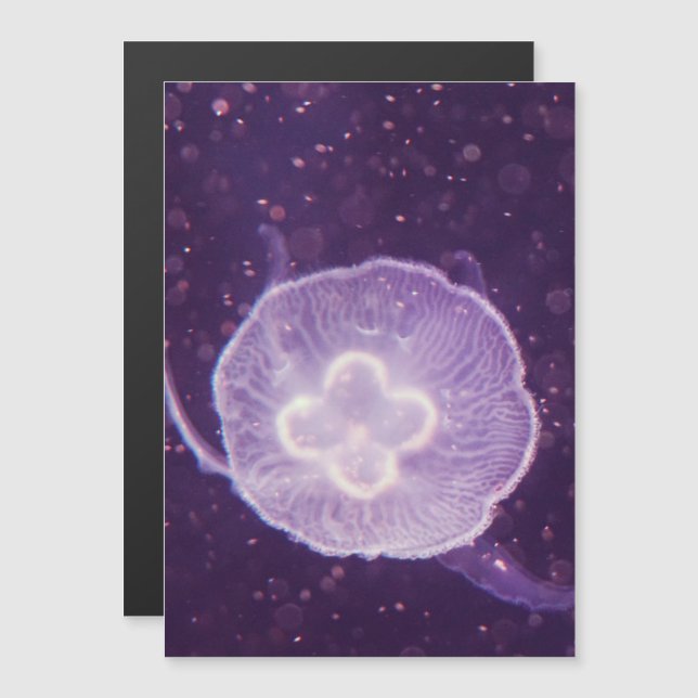 Swimming Jellyfish (Front/Back)
