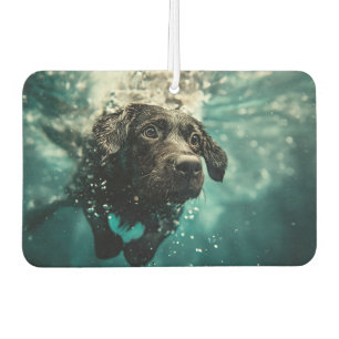 Swimming Labrador Puppy Underwater Design Car Air Freshener