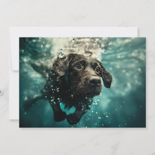 Swimming Labrador Puppy Underwater Design Card