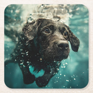 Swimming Labrador Puppy Underwater Design Square Paper Coaster